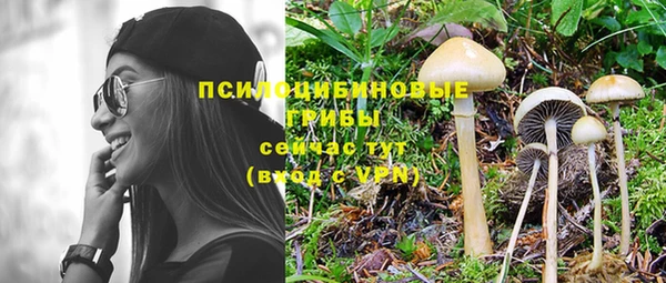 кокс Абдулино
