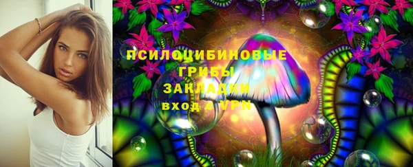 СК Абаза