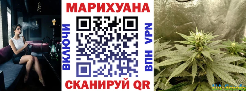 купить наркотики сайты Элиста Шишки марихуана планчик
